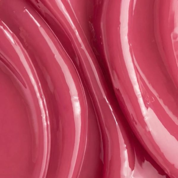 Блиск для губ Lipss Fig Lipper LPS06 фото